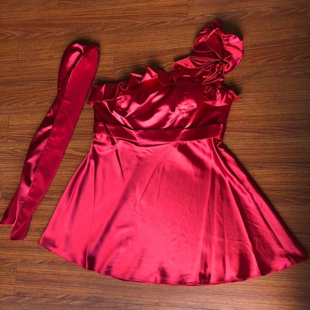 Cinderella Divine beautiful ruffle cocktail dress - Picture 4 of 8